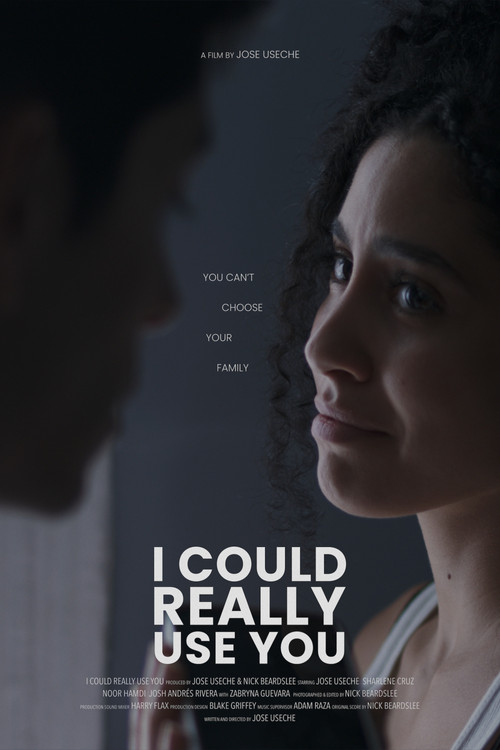 I Could Really Use You Poster