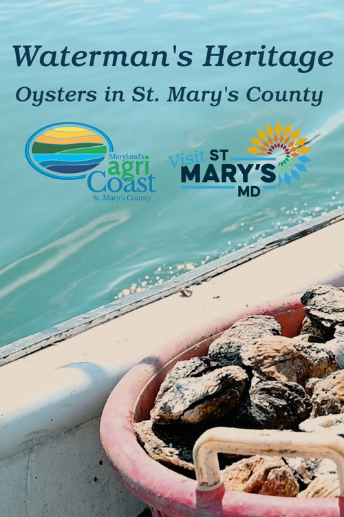 Waterman's Heritage - Oysters in St. Mary's County