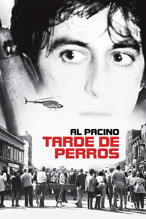 Tarde de perros (1975) Online Best Quality