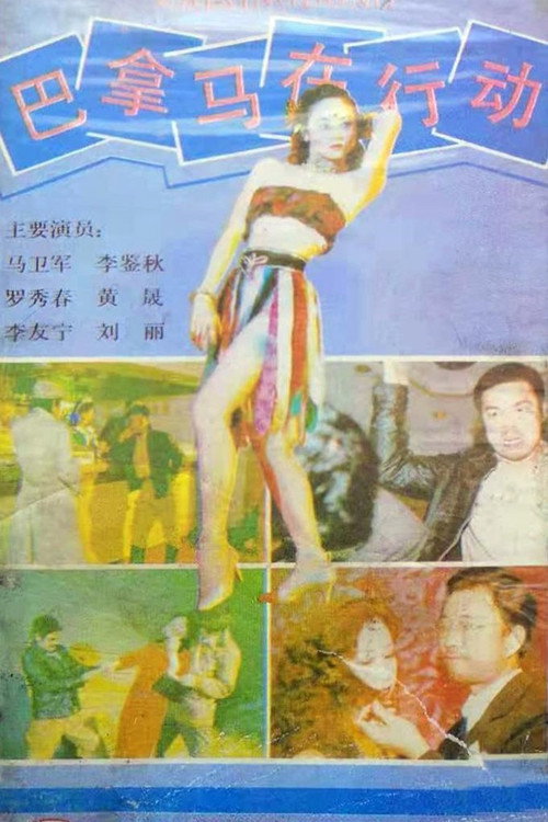 巴拿马在行动电影海报