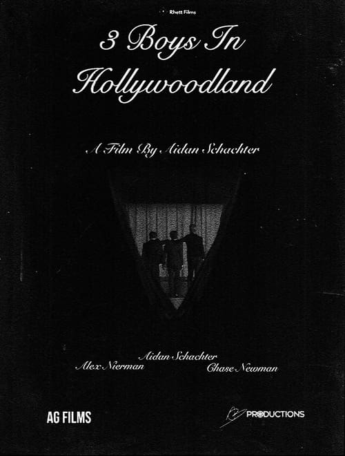 3 Boys In Hollywoodland Poster