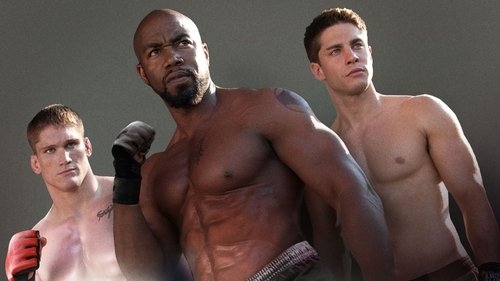 Never Back Down - Combattimento letale (2011) Guarda lo streaming di film completo online