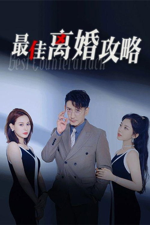 最佳离婚攻略电影海报