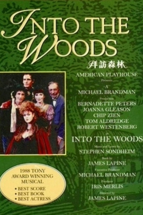 拜访森林电影海报