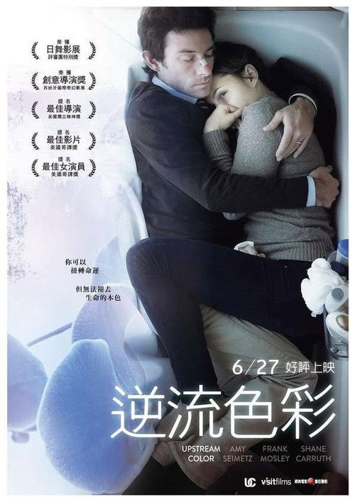逆流的色彩电影海报