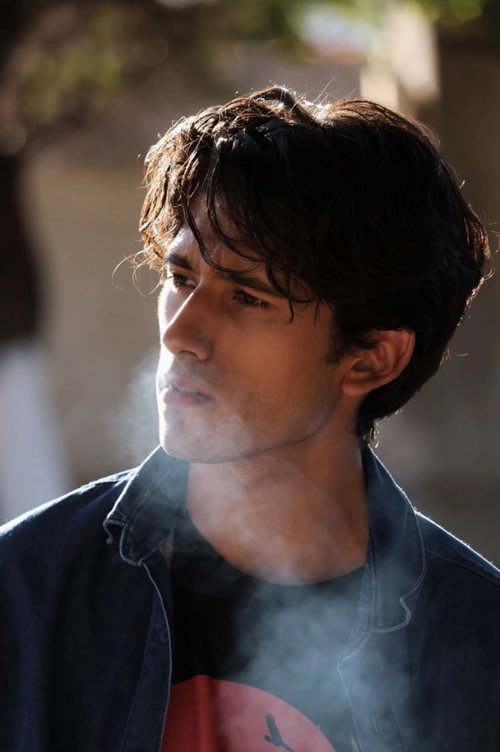 Luis Alfonso Icedo Gracia