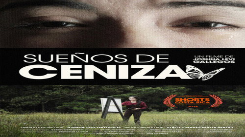 Sueños de Ceniza