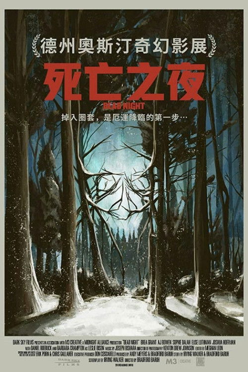 亡命雪夜电影海报