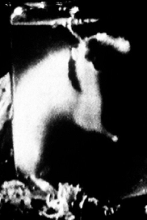 Rat Trap 1985 Rat Trap 1985