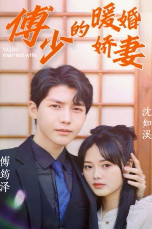 傅少的暖婚娇妻电影海报