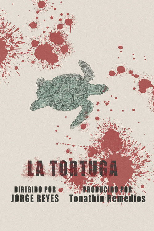 The Turtle Poster