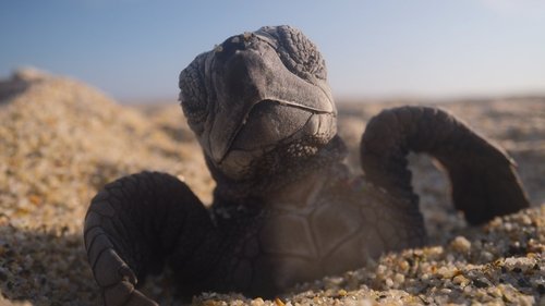 Gezegenimiz - Chapter 3: The Next Generation