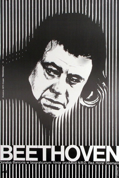 Beethoven - Days in a Life poster 2