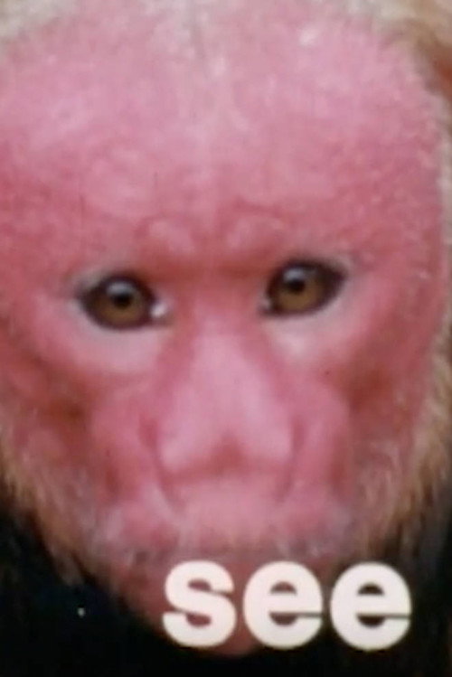 Monkey See, Monkey Do: Verbs (1971)