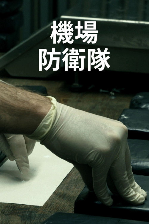 Alerta Aeropuerto电影海报