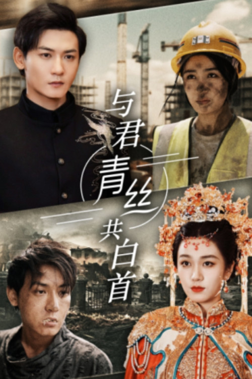与君青丝共白首电影海报