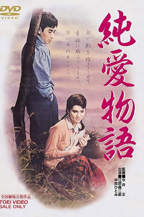 The Story of Pure Love poster 4