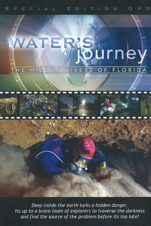 Water's Journey: The Hidden Rivers of Florida Poster