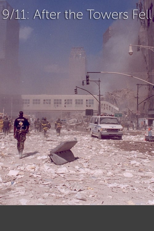 9/11: After the Towers Fell (2010) PelículA CompletA 1080p en LATINO espanol Latino