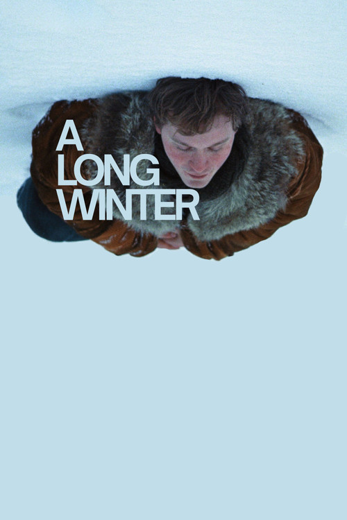 A Long Winter Poster