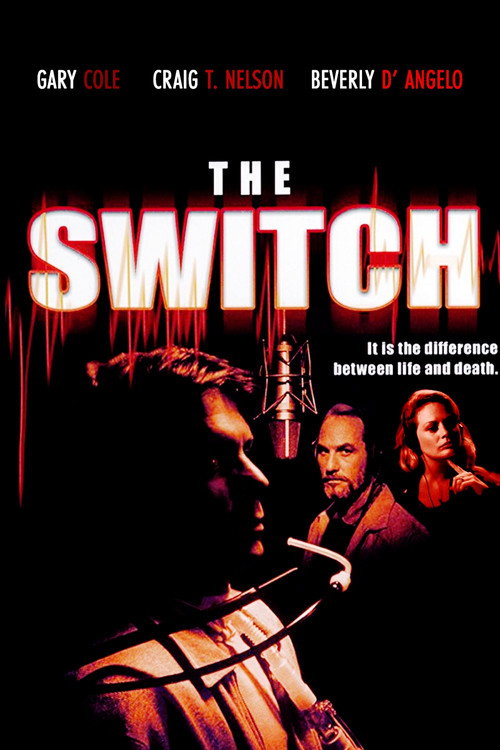 The Switch poster 3