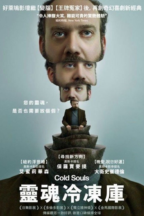冷冻灵魂电影海报