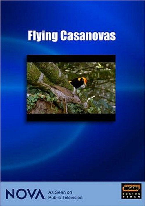 Flying Casanovas电影海报