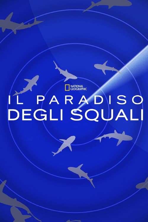 Il+paradiso+degli+squali