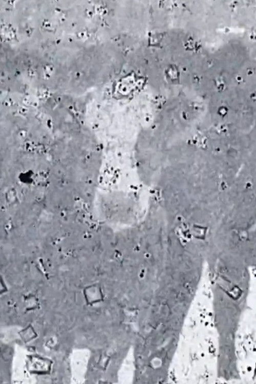 Psychic Meat poster Psychic Meat (2021) streaming ITA film completo Full HD