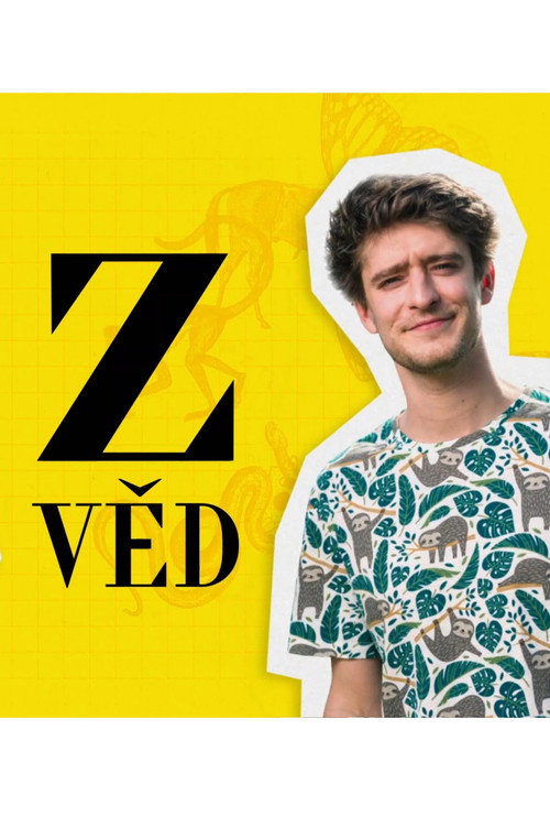 Zvěd电影海报