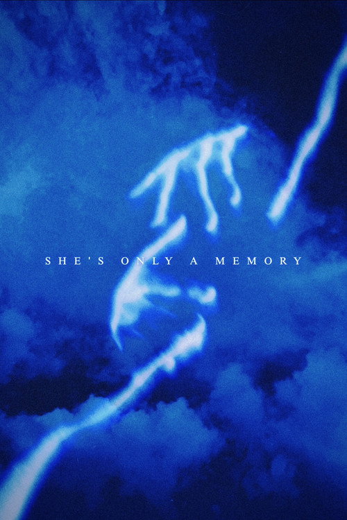 She's Only a Memory电影海报