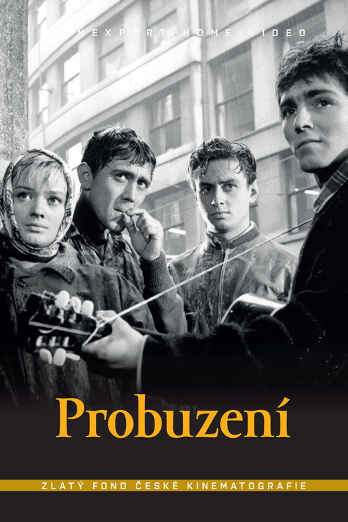 Probuzení poster 2