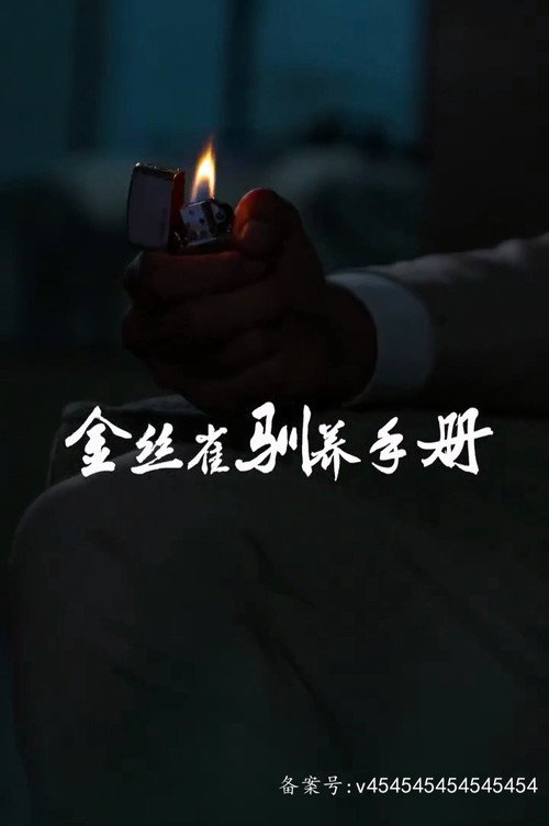金丝雀驯养手册电影海报