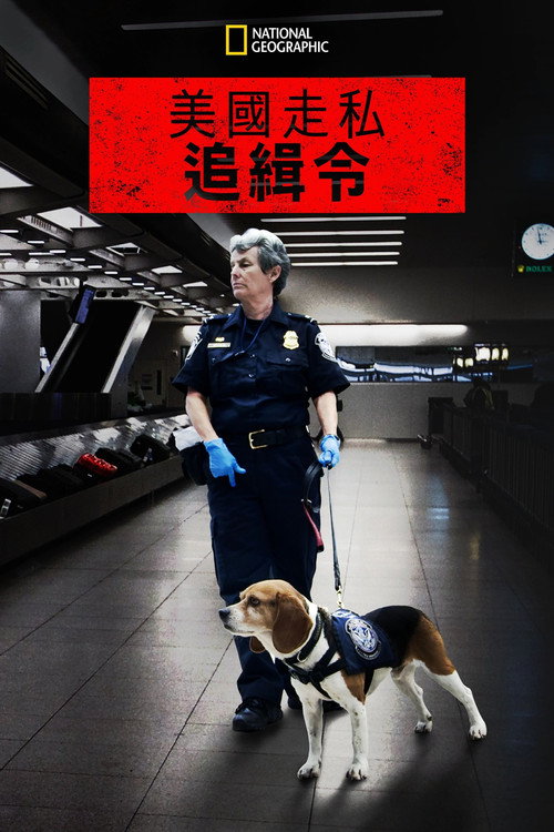 走私追缉令电影海报