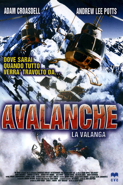 Nature Unleashed:  Avalanche poster 2