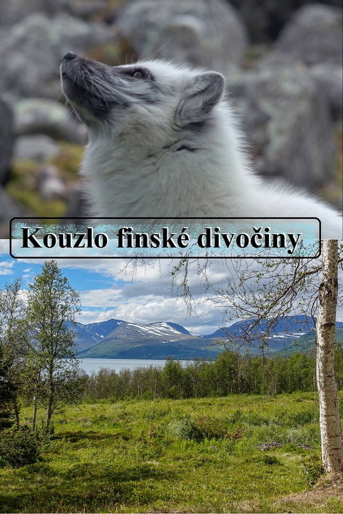 Den f&ouml;rtrollande vildmarken电影海报