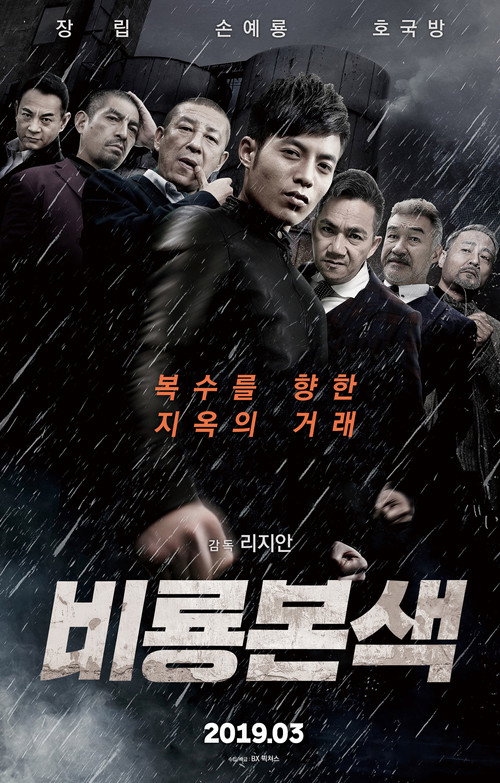 Hidden Dragon Battle poster 2