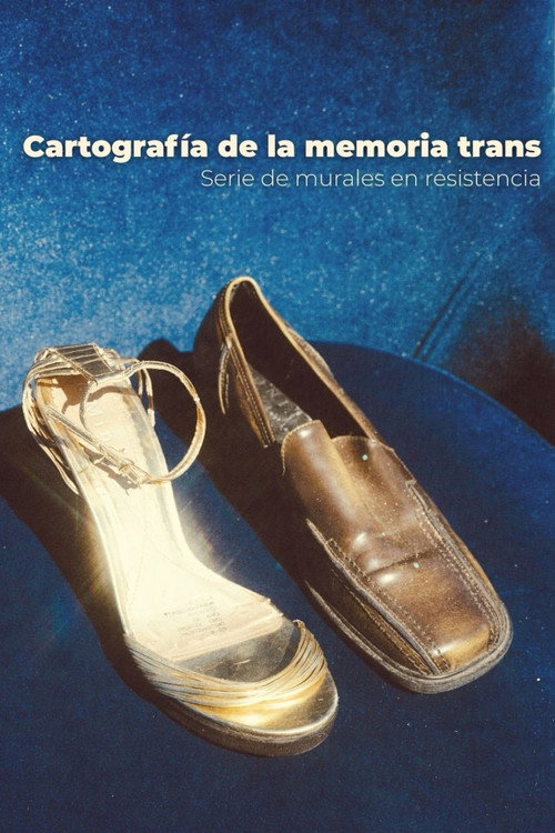 Cartograf&iacute;a de la Memoria Trans: Serie de murales en resistencia电影海报
