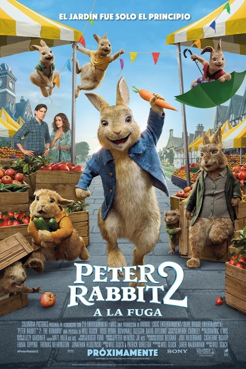 Peter Rabbit 2: A la fuga (2021) Repelisplus Ver Ahora Películas Online Gratis Completas en Español y Latino HD