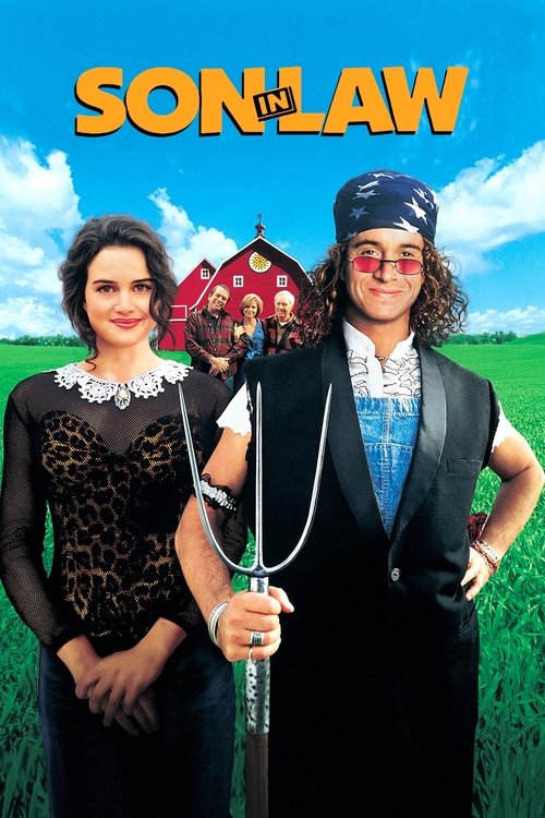 Poster of Son in Law