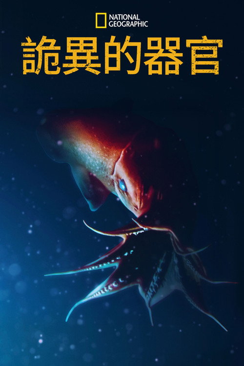 World's Weirdest: Extreme Body Parts电影海报