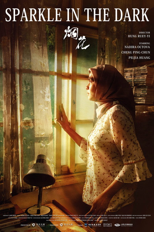 Sparkle in the Dark poster 2
