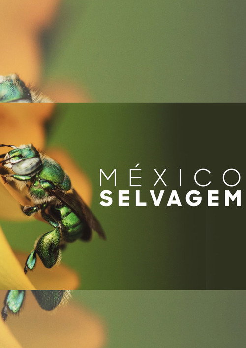 M&eacute;xico Selvagem电影海报