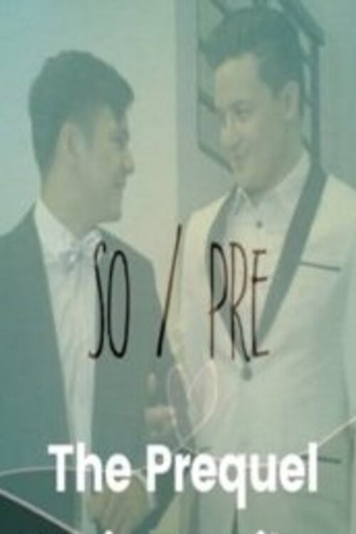SO/PRE The Prequel电影海报