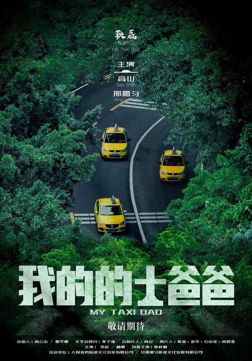 My Taxi Dad poster 2