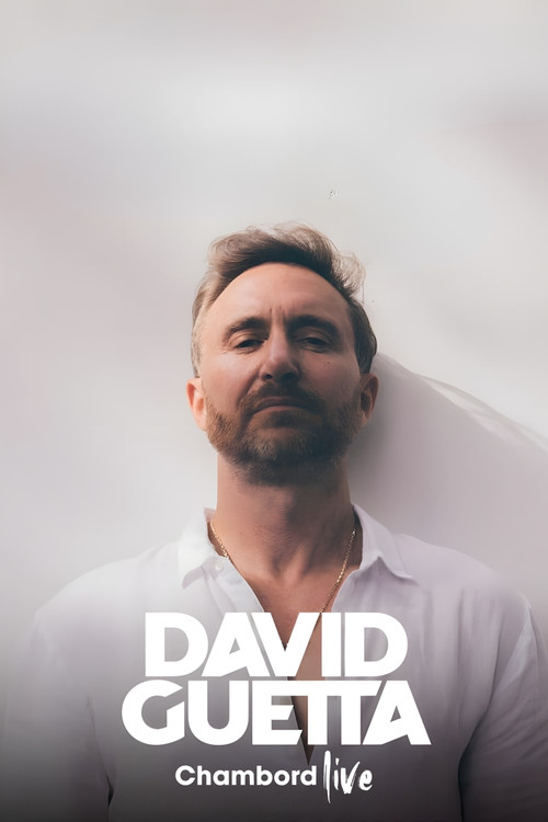 David Guetta, live à Chambord poster 2