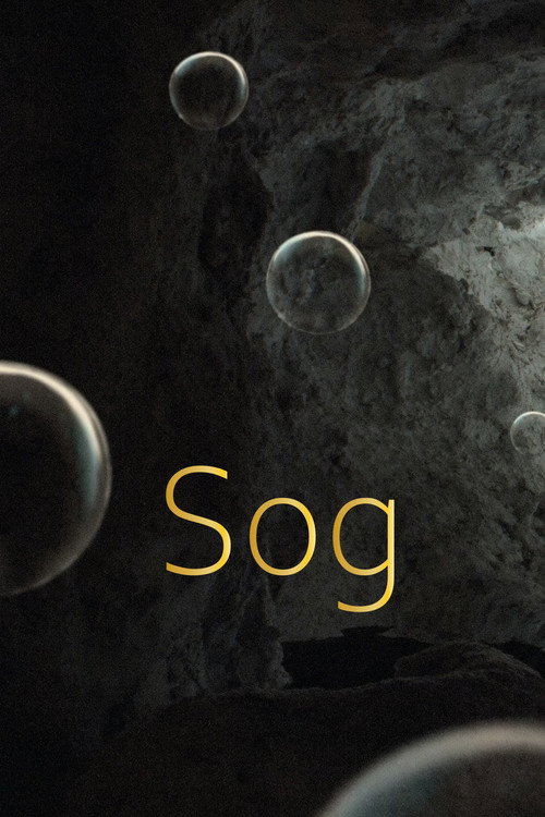 Sog电影海报