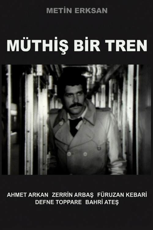 M&uuml;thiş Bir Tren电影海报