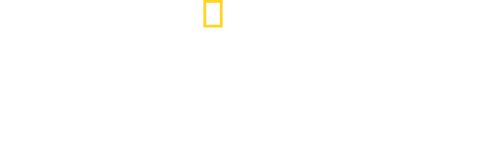 movies