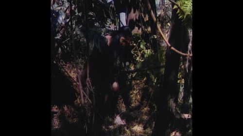 Treasure of the Golden Condor (1953) 